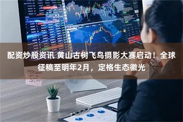 配资炒股资讯 黄山古树飞鸟摄影大赛启动！全球征稿至明年2月，定格生态徽光