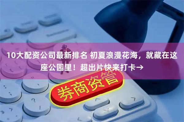 10大配资公司最新排名 初夏浪漫花海，就藏在这座公园里！超出片快来打卡→